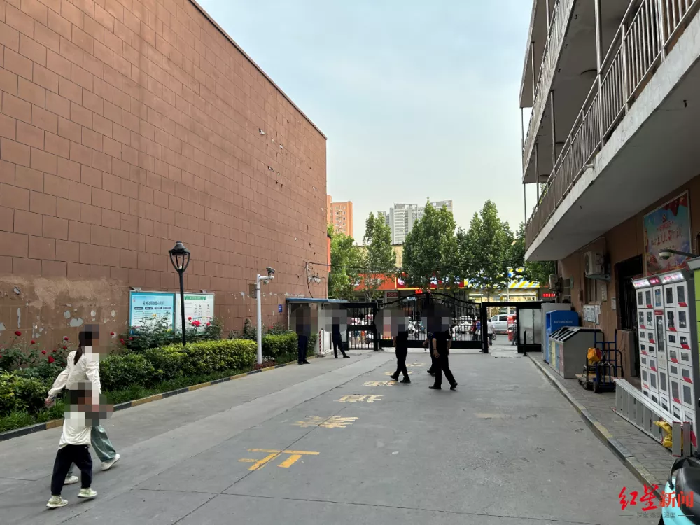 智力殘疾老人、腦癱女孩，一樁“**疑云”之后